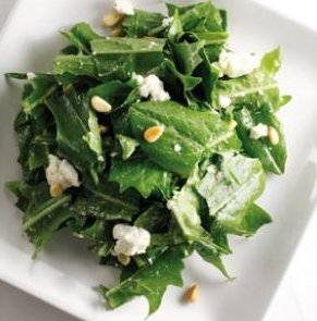 Dandelion Green Salad